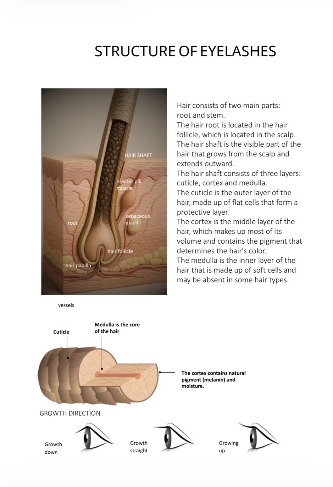 Lash Extension TRAINING MANUAL METHODOLOGY HANDBOOK page 2