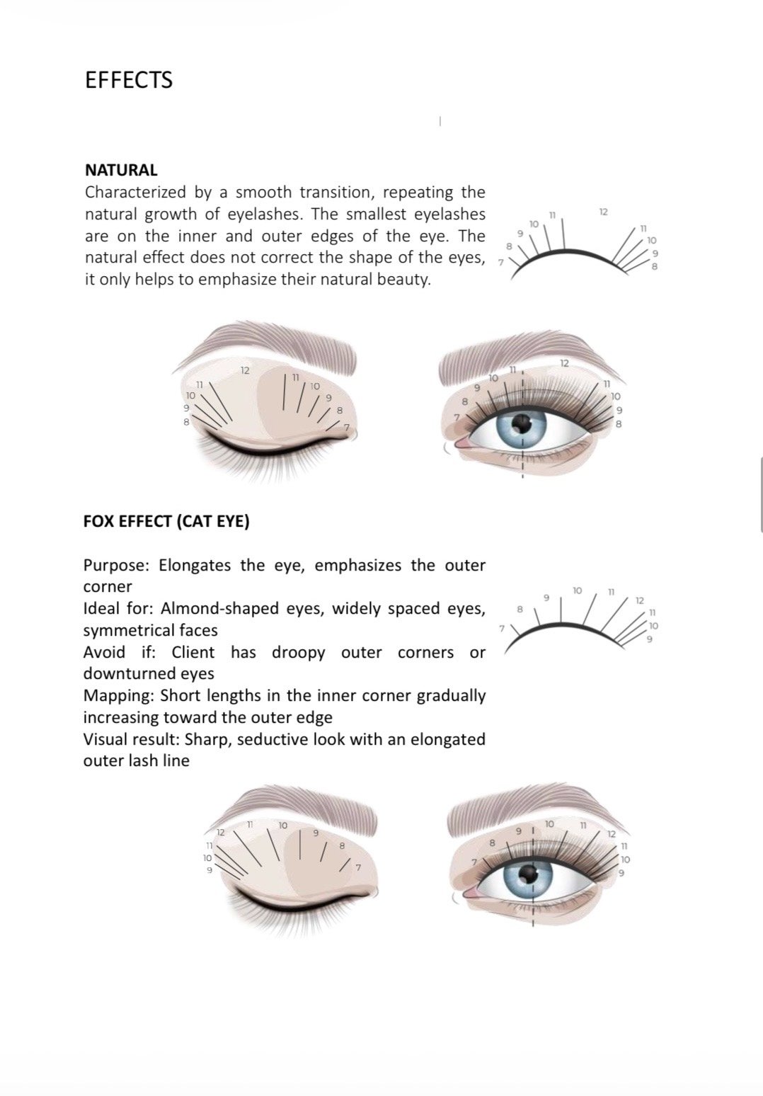 Lash Extension TRAINING MANUAL METHODOLOGY HANDBOOK page 3