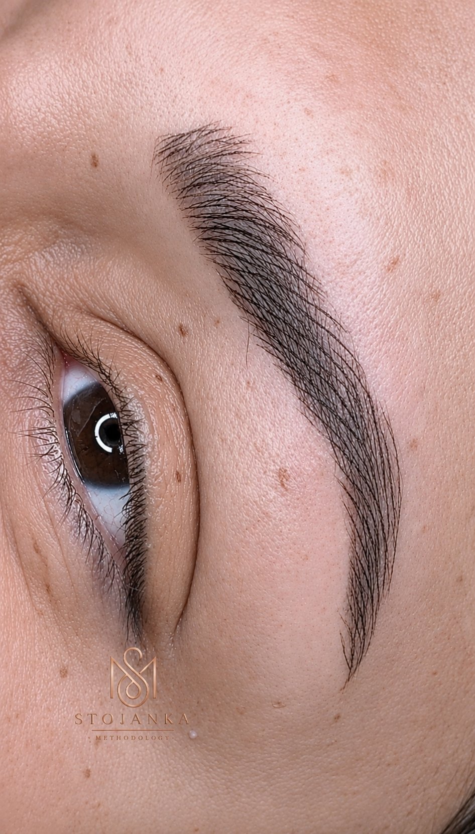 Nano Brows Powder Brows Permanent Makeup Clearwater FL